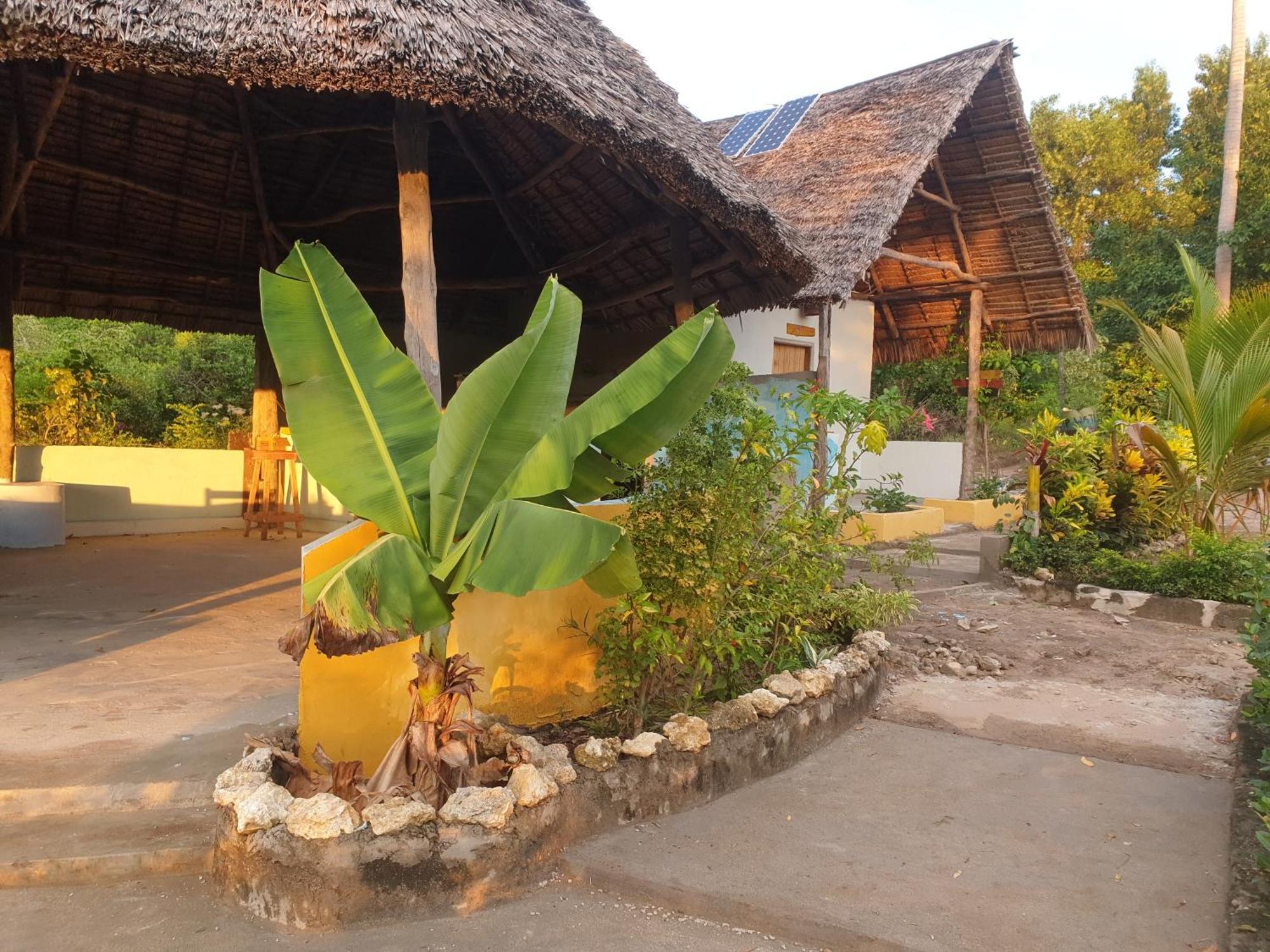 Rasta House Bed and Breakfast Kilindoni Εξωτερικό φωτογραφία